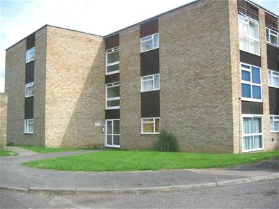 Picture 13
